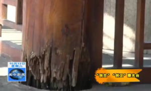 阆水中路这处凉亭“伤痕累累”