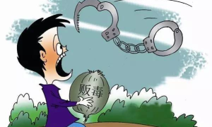 阆中一起贩卖毒品案作出判决