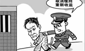 缓刑期间再犯案，监狱请去“过大年”