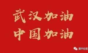 南充累计报告确诊病例11例，涉及三区一县……