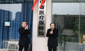 阆中市医疗保障局正式揭牌成立