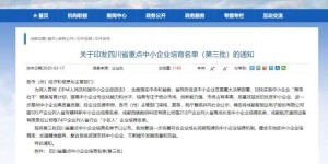 第三批四川省重点中小企业名单公示