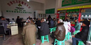 阆中扶贫产品“老观大米”“网”住政府采购大市场