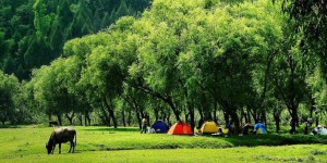 800亿重大文旅项目助推阆中旅游